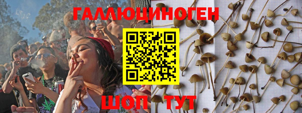 Светлоград  Псилоцибиновые грибы мухоморы  Вход с VPN  Псилоцибиновые грибы мухоморы 