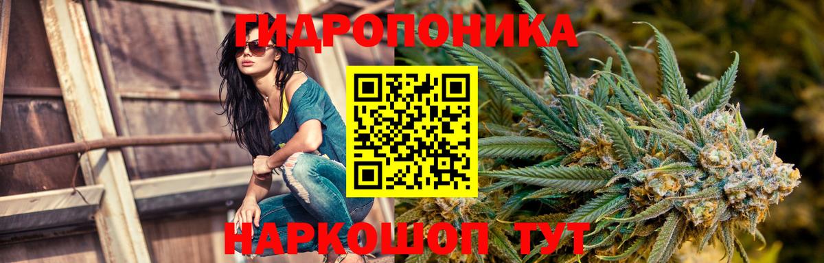 Канабис ГИДРОПОН Светлоград